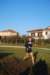 bedisco08495_small.jpg