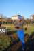 bedisco08499_small.jpg