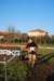 bedisco08516_small.jpg