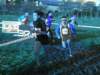 bedisco08518_small.jpg