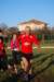 bedisco08559_small.jpg
