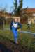 bedisco08641_small.jpg