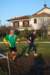 bedisco08720_small.jpg