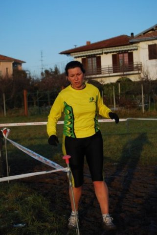 bedisco08730.jpg