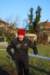 bedisco08764_small.jpg