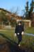 bedisco08775_small.jpg