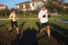 bedisco0880_small.jpg