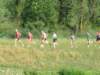 beuracardezza02062009013_small.jpg