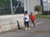 img_3860_small.jpg