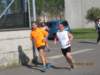 img_3877_small.jpg