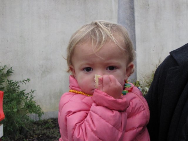 img_8539.jpg