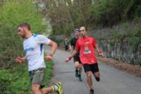 img_6535_small.jpg