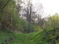 dscf0850_small.jpg