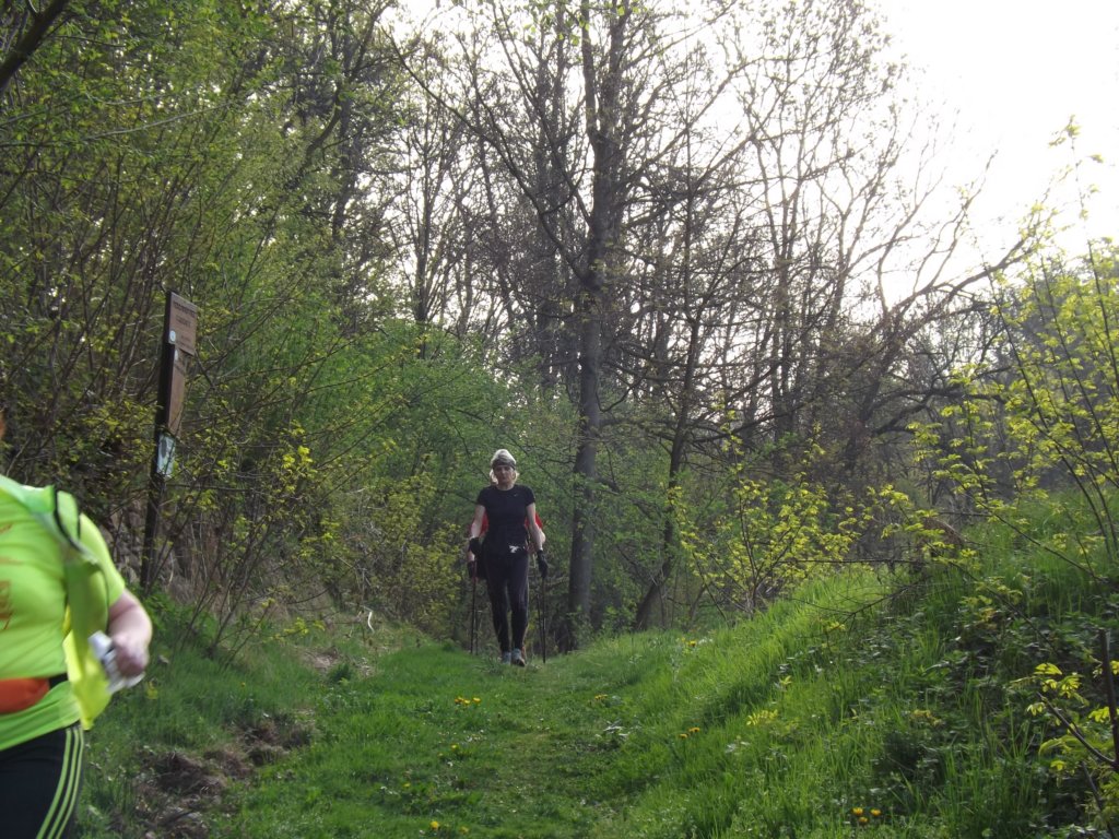 dscf0856.jpg