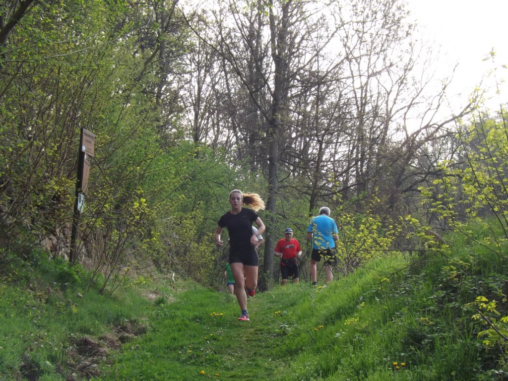 dscf0904.jpg