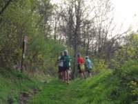 dscf0913_small.jpg