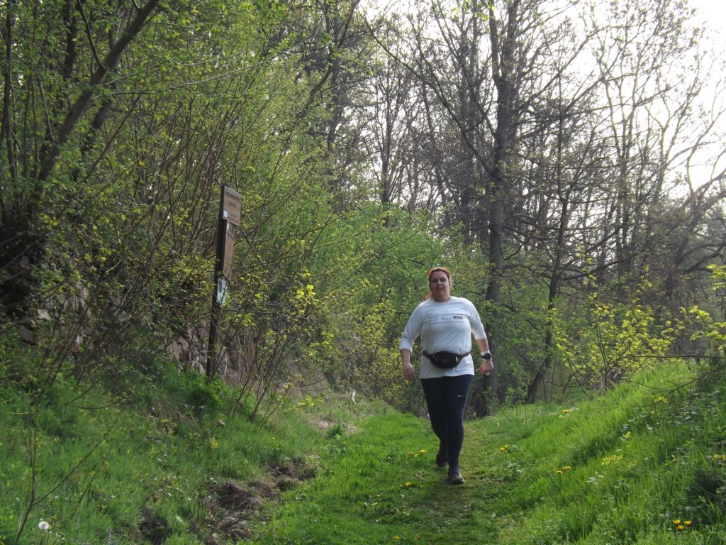 dscf1027.jpg