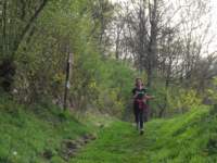 dscf1034_small.jpg