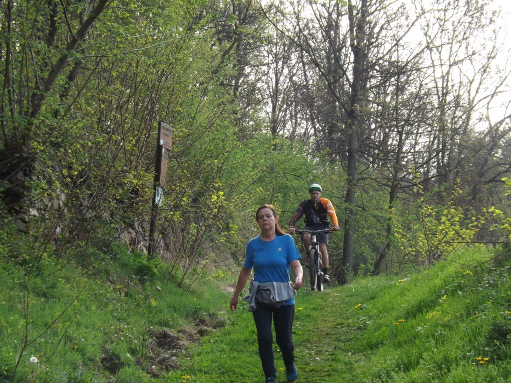 dscf1050.jpg