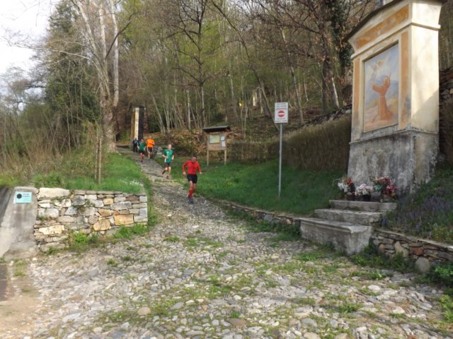 dscf0531.jpg