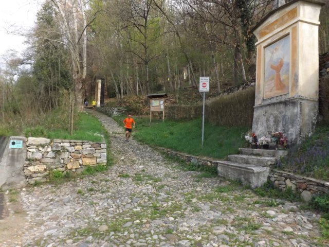 dscf0534.jpg