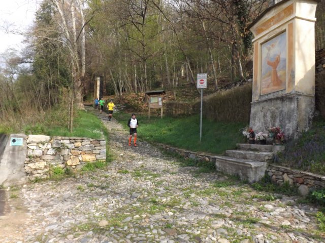 dscf0546.jpg