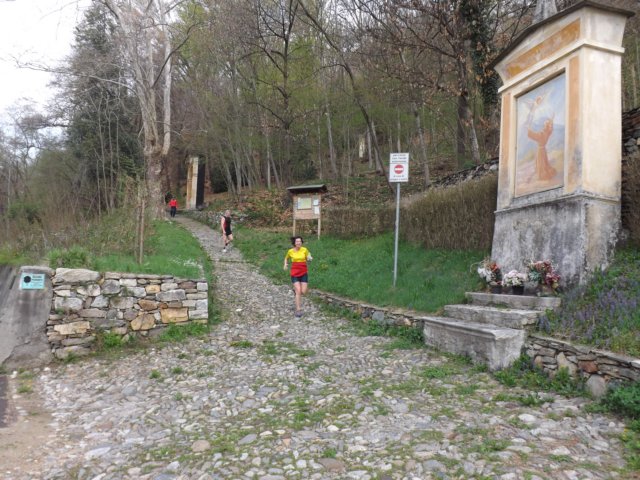 dscf0593.jpg