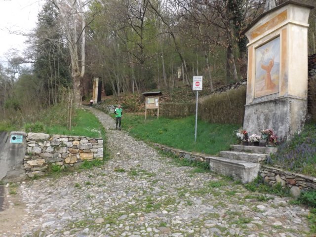 dscf0617.jpg