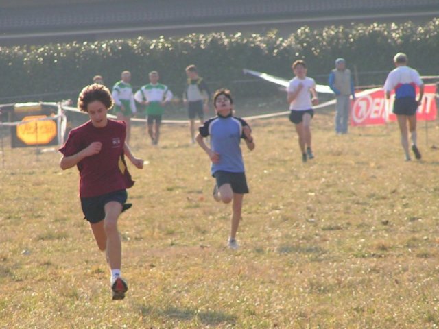 pict8231.jpg