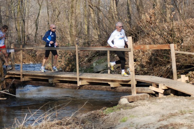 ponte146.jpg