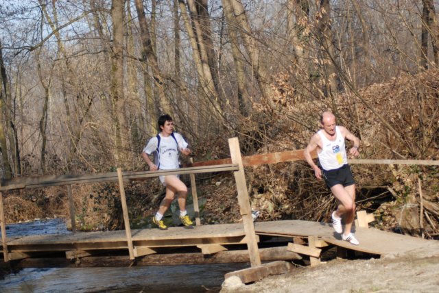 ponte16.jpg