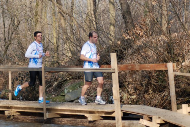 ponte226.jpg