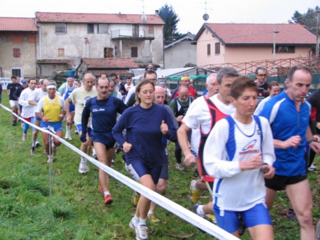 c035.jpg