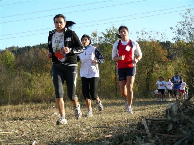 p088.jpg
