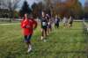 dsc_0165_small.jpg