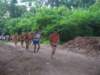 comignago270608002b_small.jpg