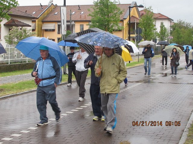 img_2800.jpg