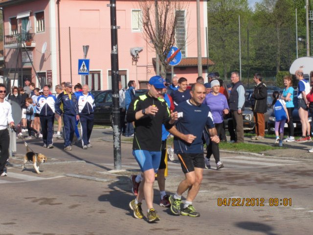 img_4805.jpg