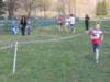 crossornavasso0005_small.jpg