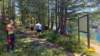 _105306_small.jpg