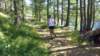 _105432_small.jpg