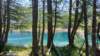 _105456_small.jpg