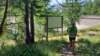 _105831_small.jpg
