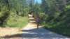 _115049_small.jpg