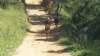 _115605_small.jpg