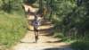 _115946_small.jpg