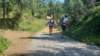 _120449_small.jpg