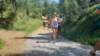 _120451_small.jpg