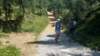 _120521_small.jpg