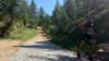 _120937_small.jpg